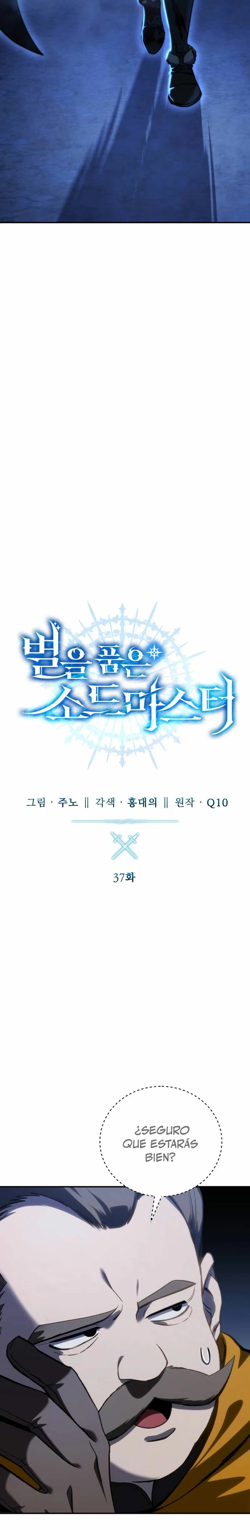 El maestro de la espada acogedor de estrellas Capítulo 37 - Page 12