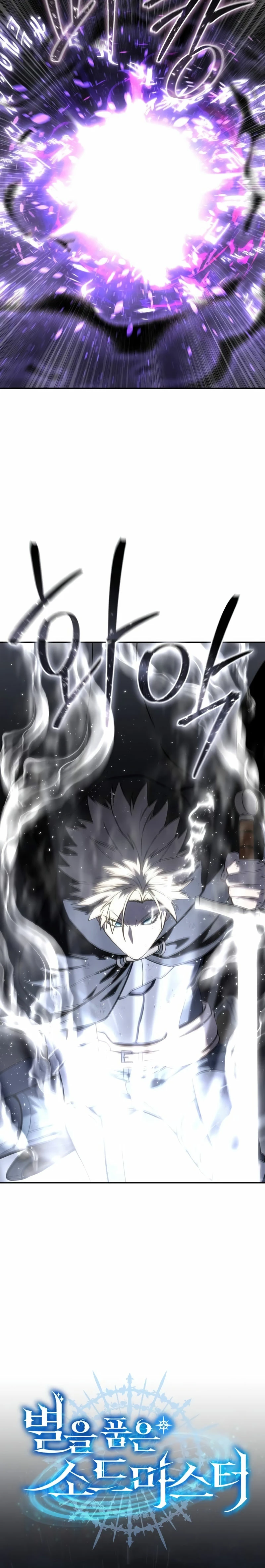 El maestro de la espada acogedor de estrellas Capítulo 53 - Page 13