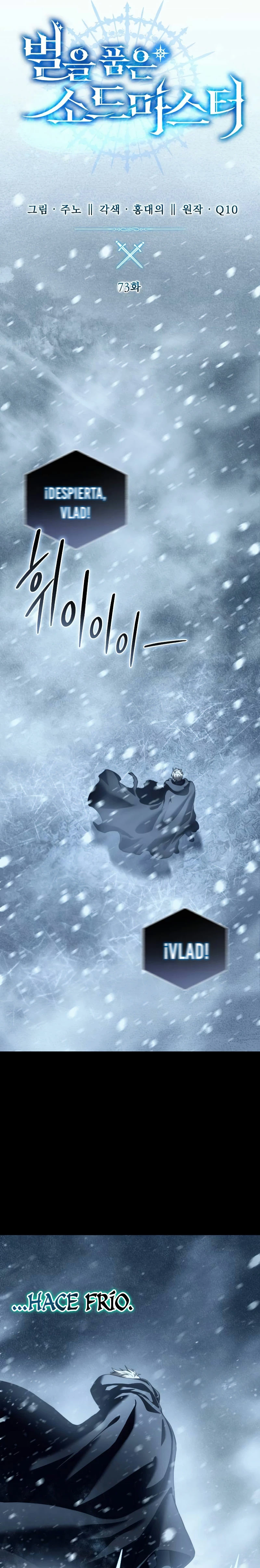 El maestro de la espada acogedor de estrellas Capítulo 73 - Page 17