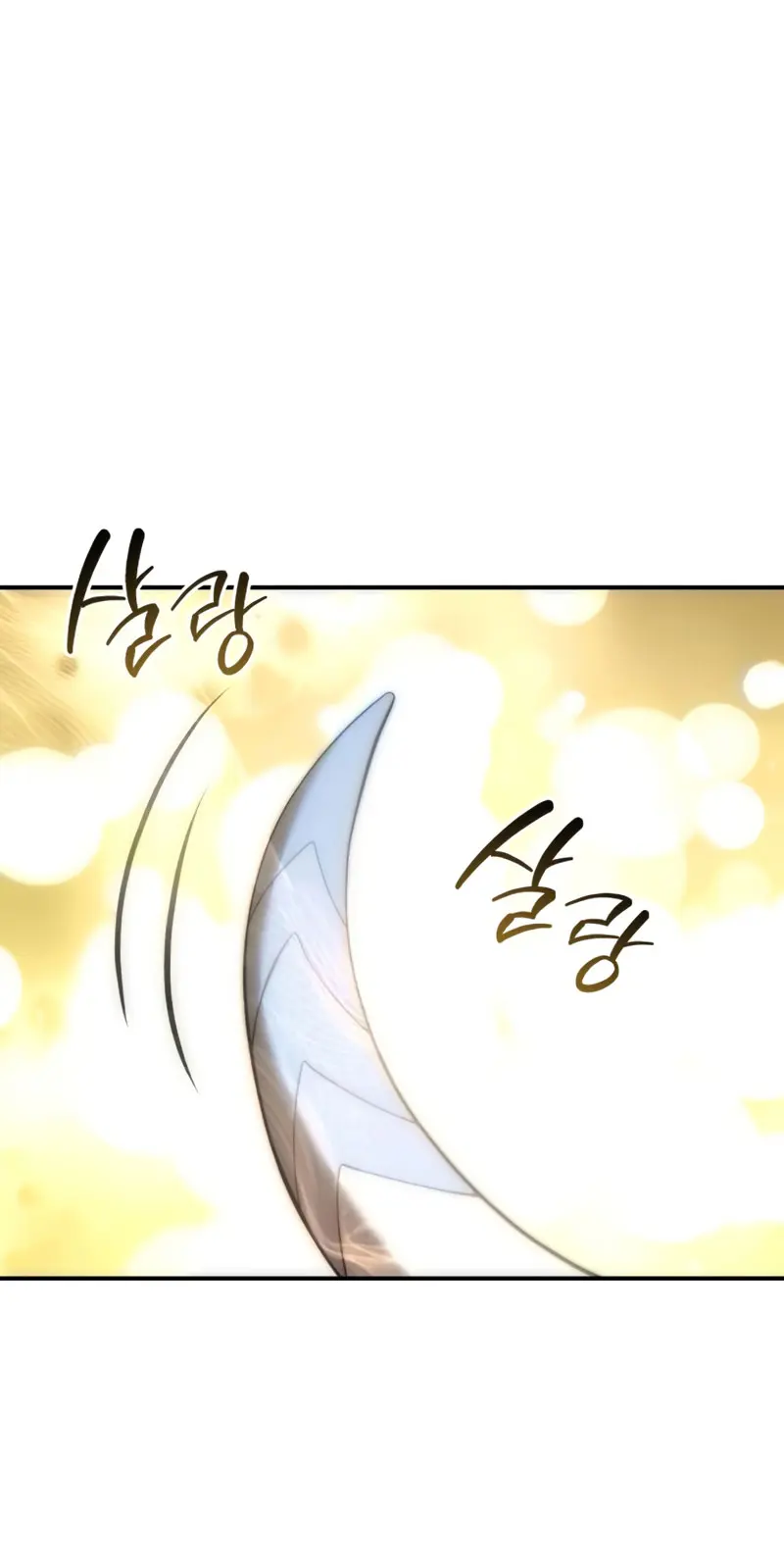 El maestro de la espada acogedor de estrellas Capítulo 81 - Page 2