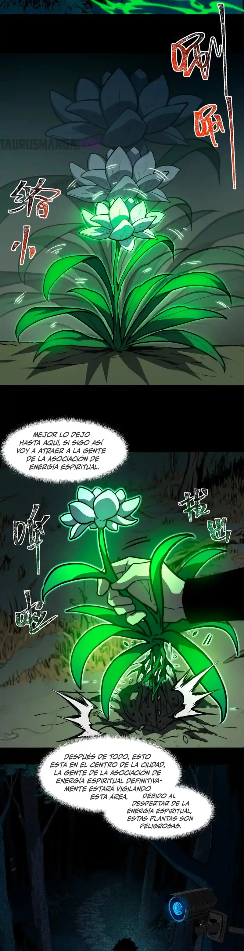 Ascensión Divina: Mi camino a la Cima de las Artes Marciales Capítulo 15 - Page 4