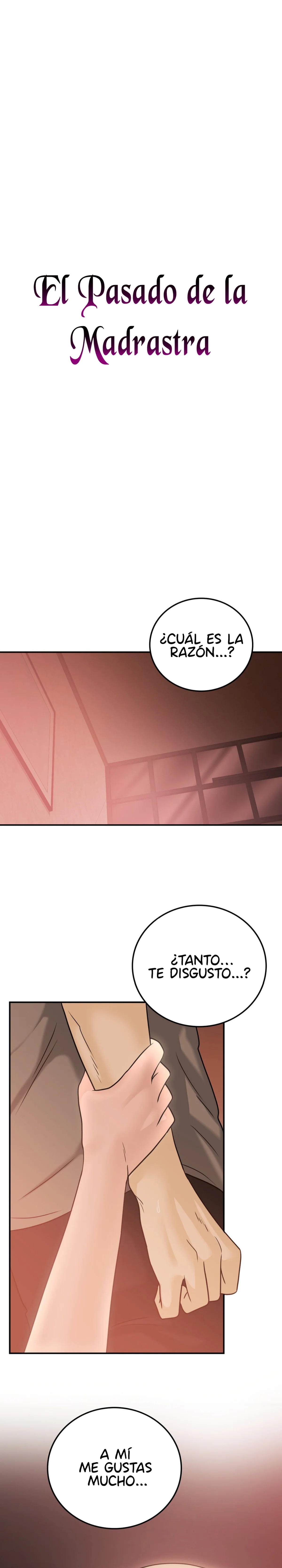 El Pasado de la Madrastra Capítulo 27 - Page 3