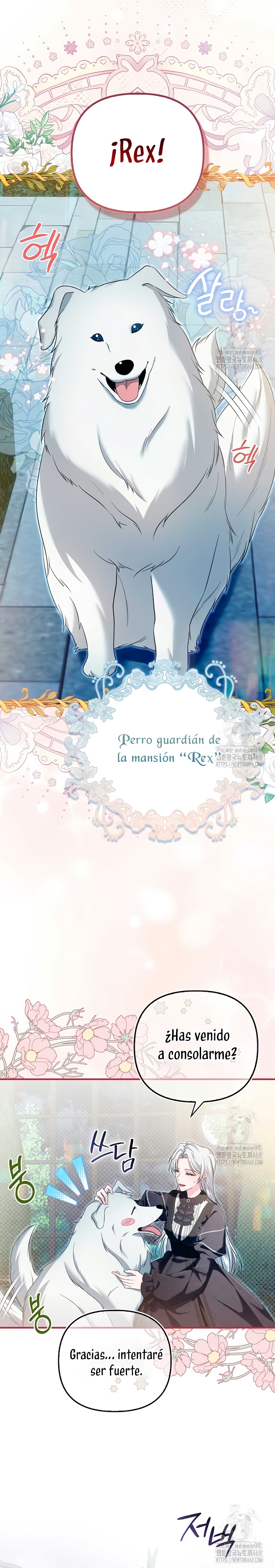 Como rechazar un matrimonio perfecto Capítulo 2 - Page 21