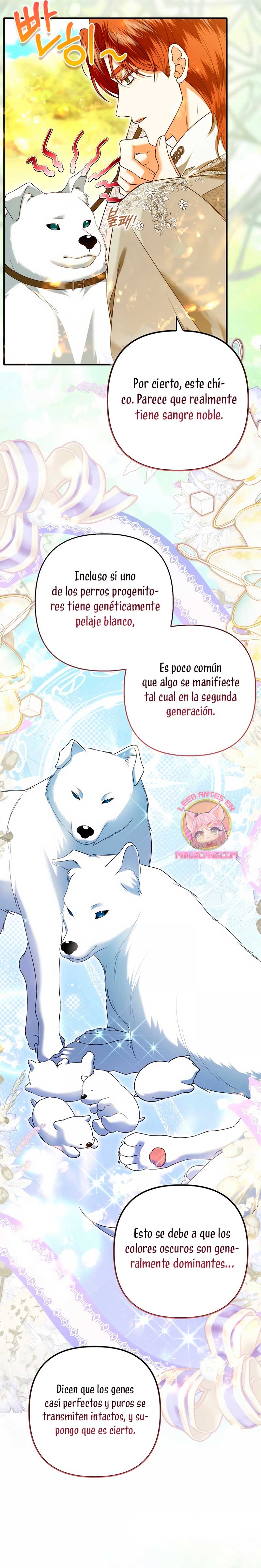 Como rechazar un matrimonio perfecto Capítulo 34 - Page 17