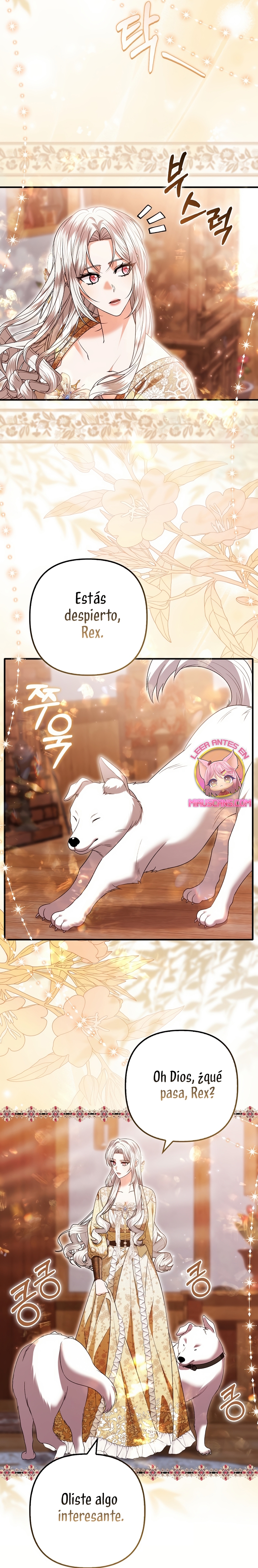 Como rechazar un matrimonio perfecto Capítulo 35 - Page 19