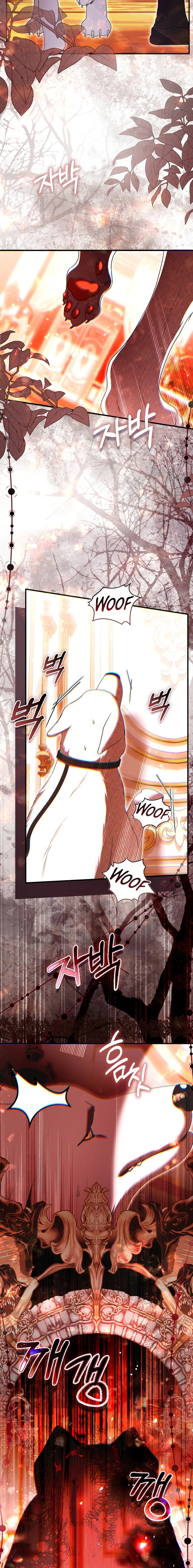 Como rechazar un matrimonio perfecto Capítulo 36 - Page 17