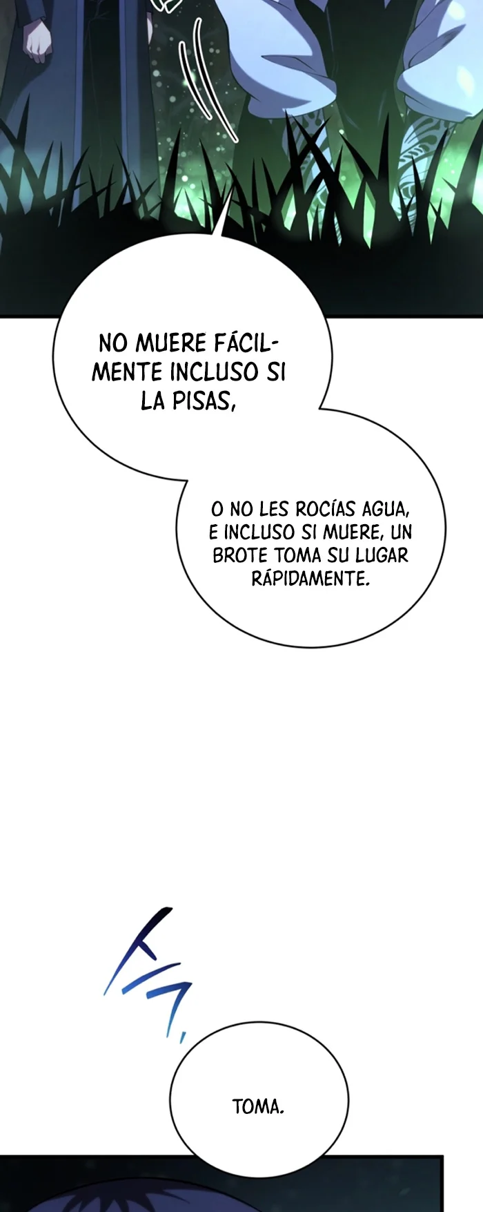 El hijo menor del maestro de la espada Capítulo 110 - Page 12