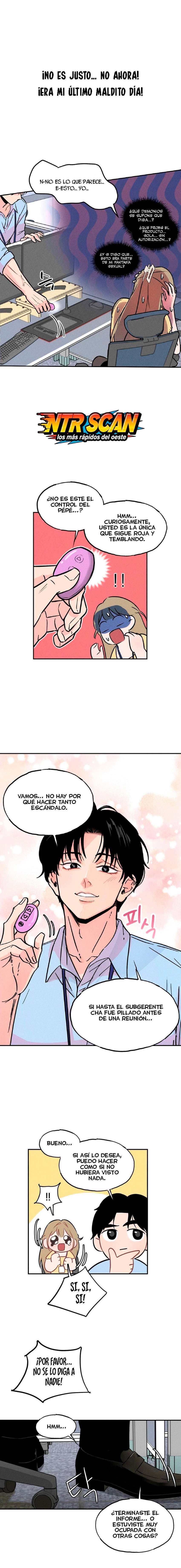 Juguete de adulto Capítulo 2 - Page 13