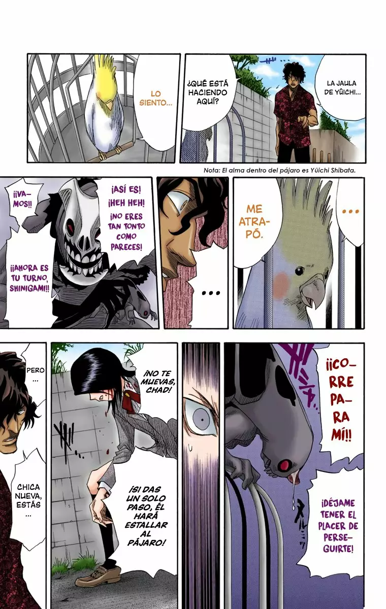 Bleach – Digital Colored Comics Capítulo 10 - Page 13