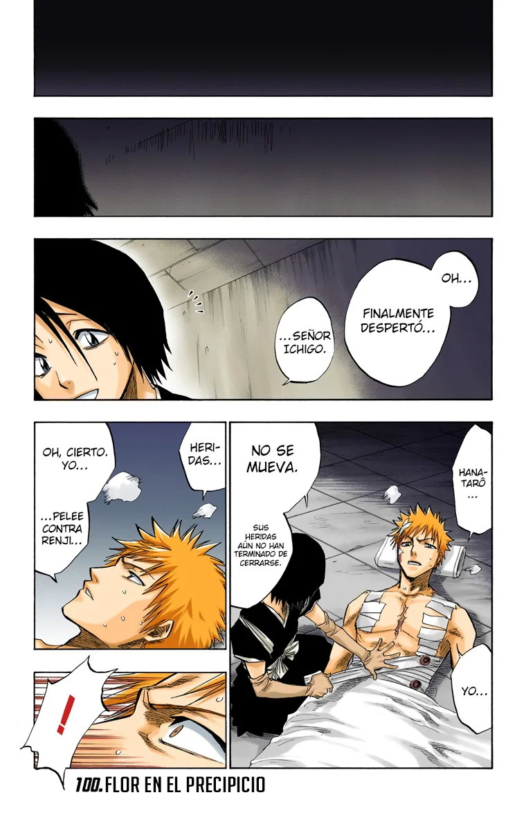Bleach – Digital Colored Comics Capítulo 100 - Page 2
