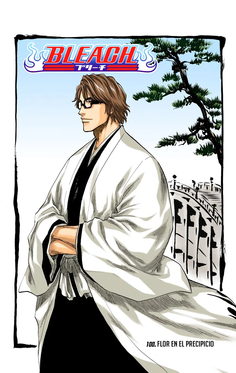Bleach – Digital Colored Comics Capítulo 100 - Page 6