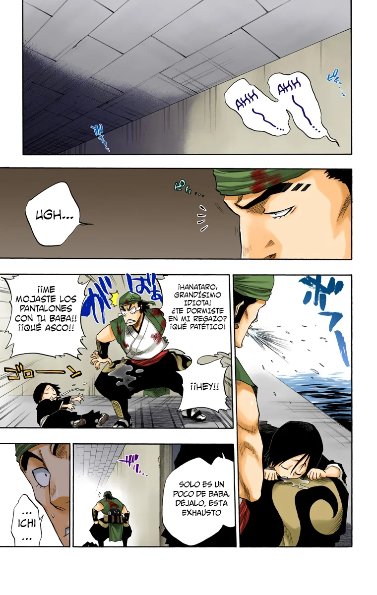 Bleach – Digital Colored Comics Capítulo 101 - Page 19