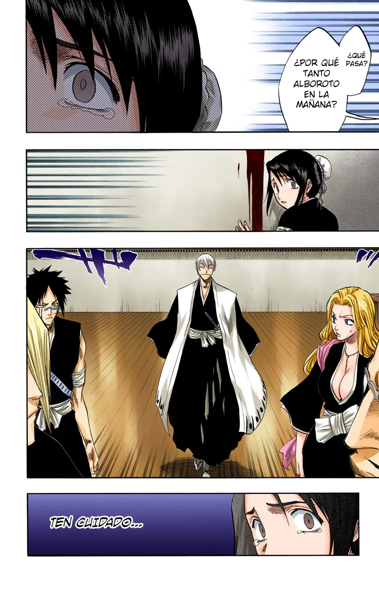 Bleach – Digital Colored Comics Capítulo 101 - Page 6