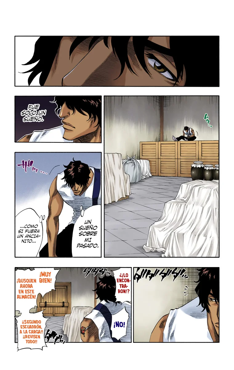 Bleach – Digital Colored Comics Capítulo 102 - Page 5