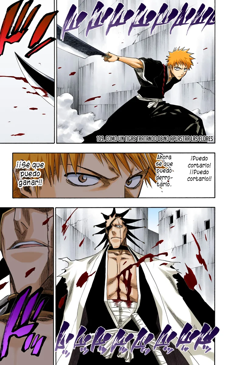 Bleach – Digital Colored Comics Capítulo 109 - Page 2
