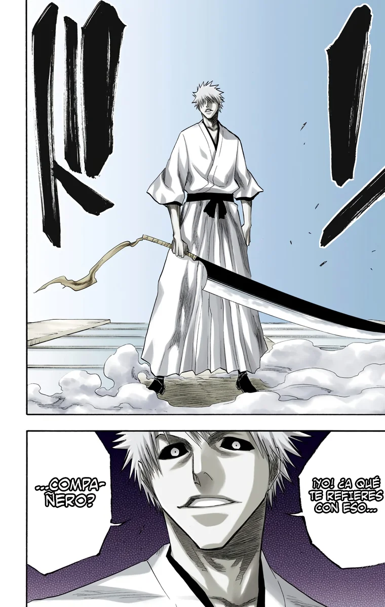 Bleach – Digital Colored Comics Capítulo 110 - Page 19