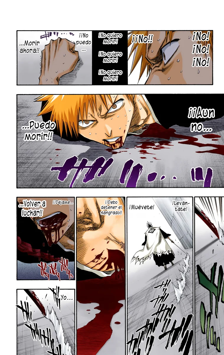 Bleach – Digital Colored Comics Capítulo 110 - Page 5