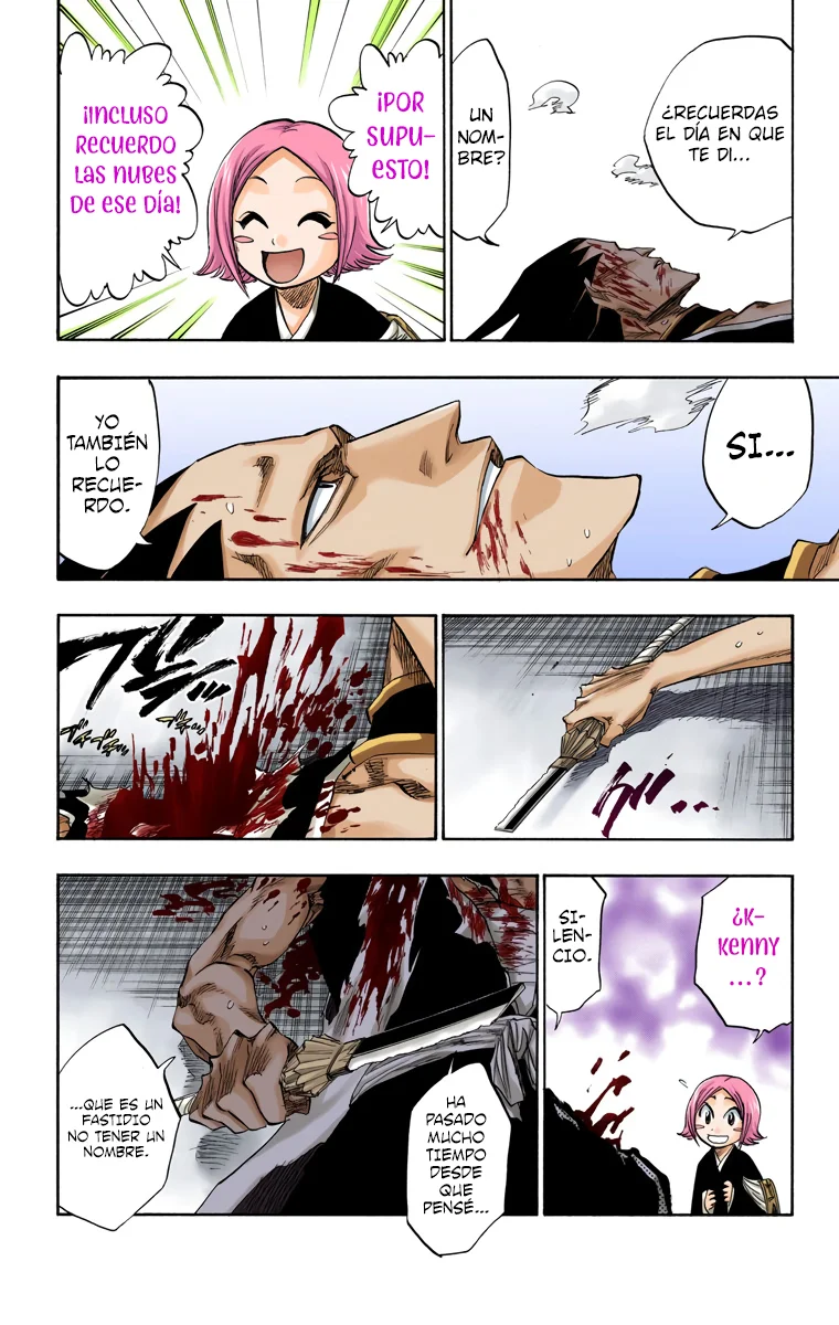 Bleach – Digital Colored Comics Capítulo 114 - Page 11
