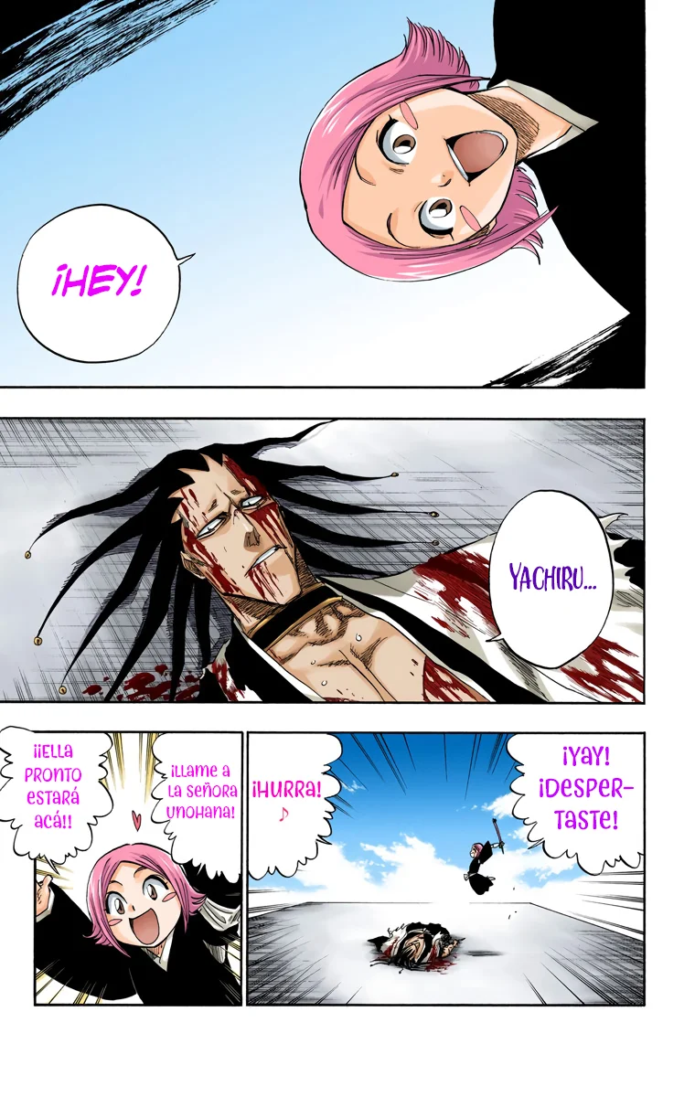 Bleach – Digital Colored Comics Capítulo 114 - Page 8