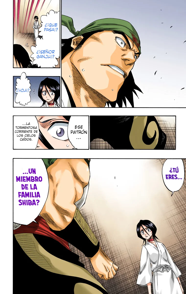 Bleach – Digital Colored Comics Capítulo 115 - Page 13