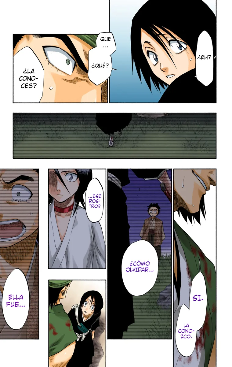 Bleach – Digital Colored Comics Capítulo 115 - Page 14
