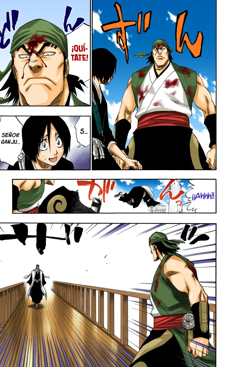 Bleach – Digital Colored Comics Capítulo 116 - Page 17