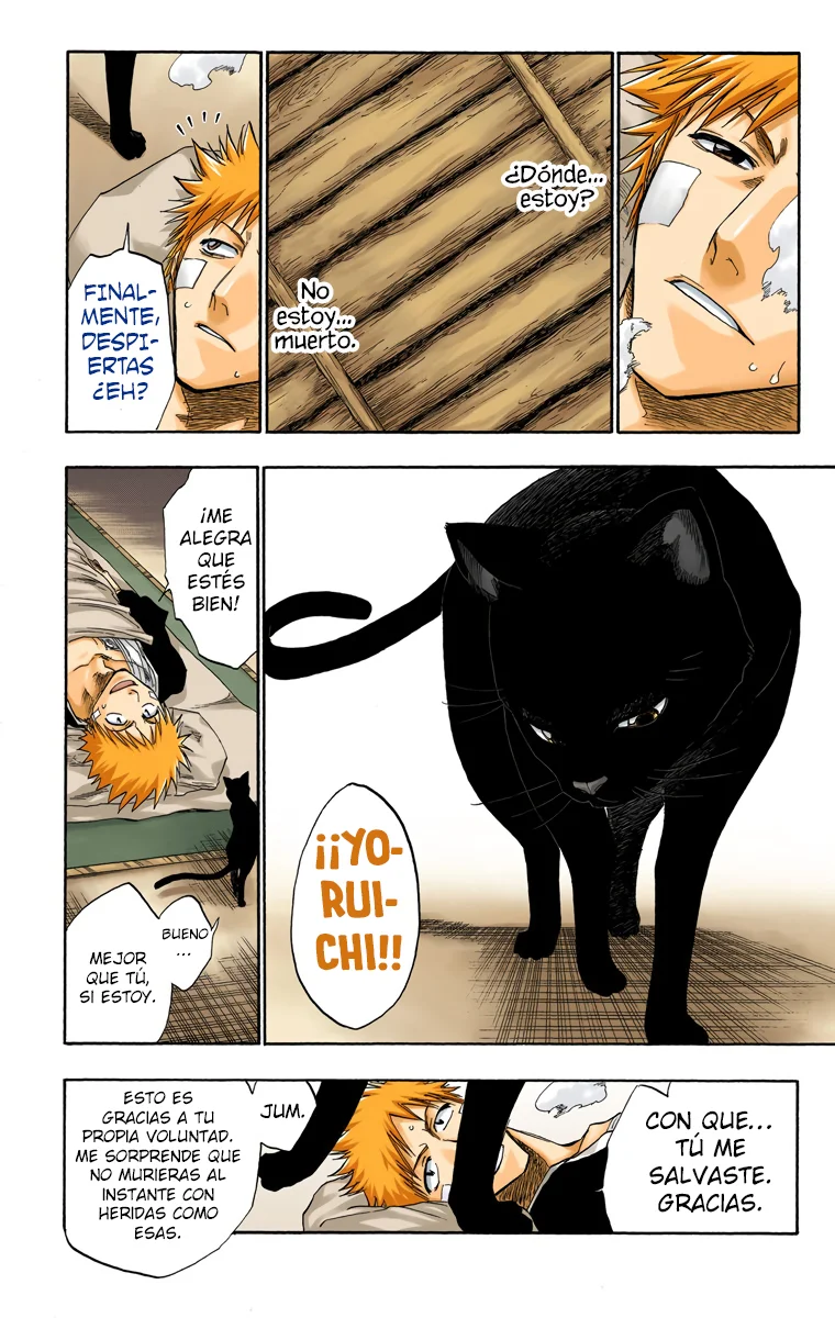 Bleach – Digital Colored Comics Capítulo 116 - Page 20
