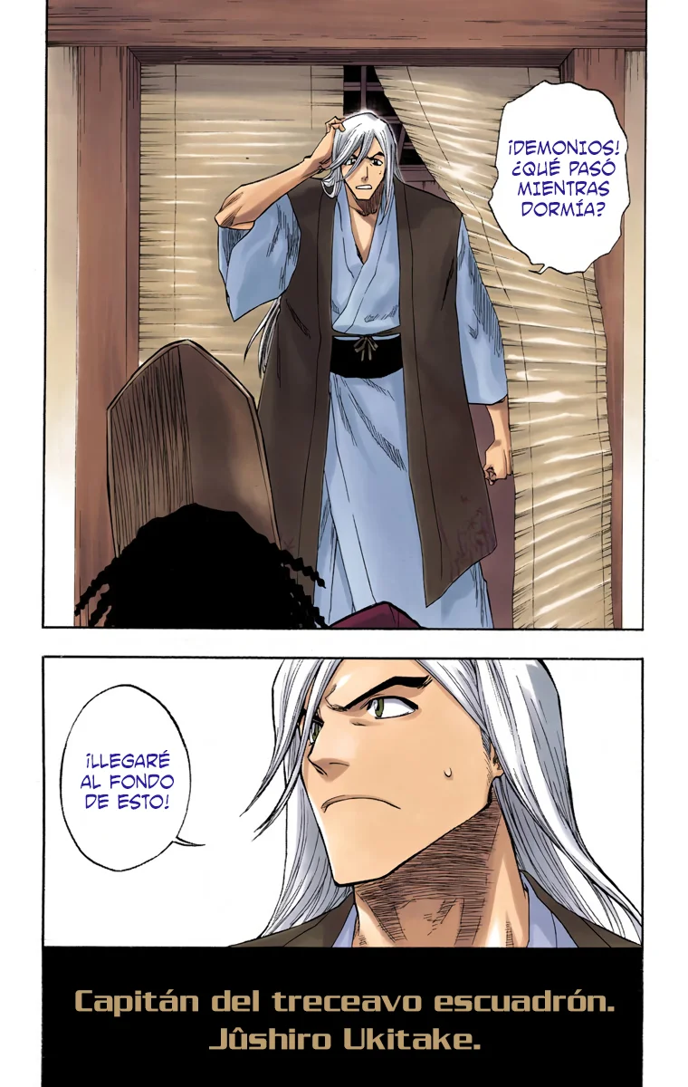 Bleach – Digital Colored Comics Capítulo 116 - Page 8