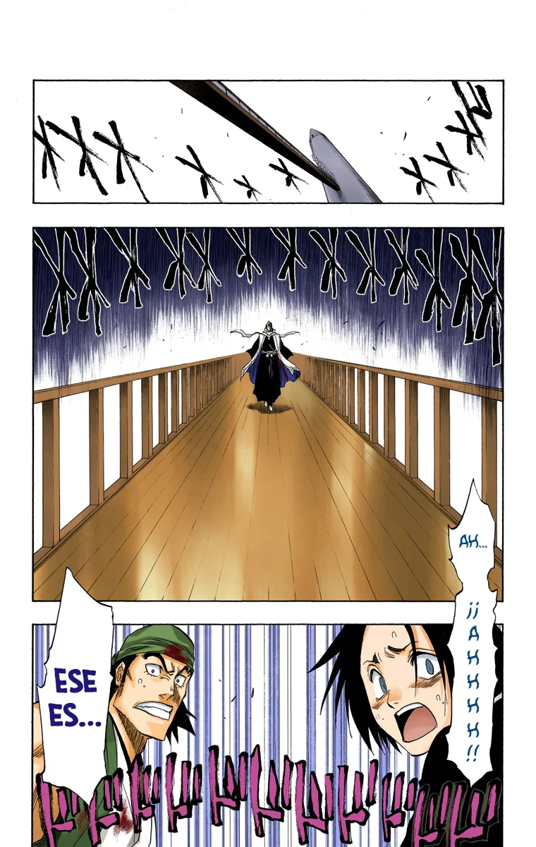 Bleach – Digital Colored Comics Capítulo 116 - Page 9