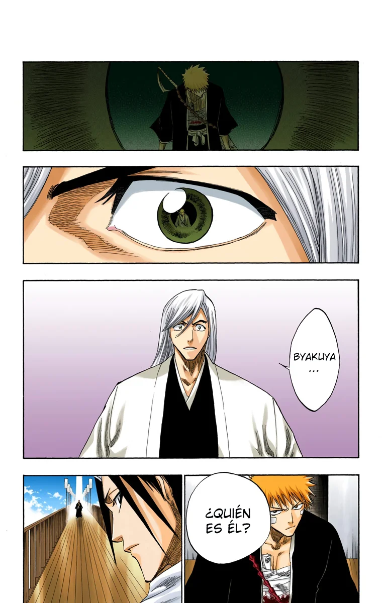 Bleach – Digital Colored Comics Capítulo 117 - Page 6