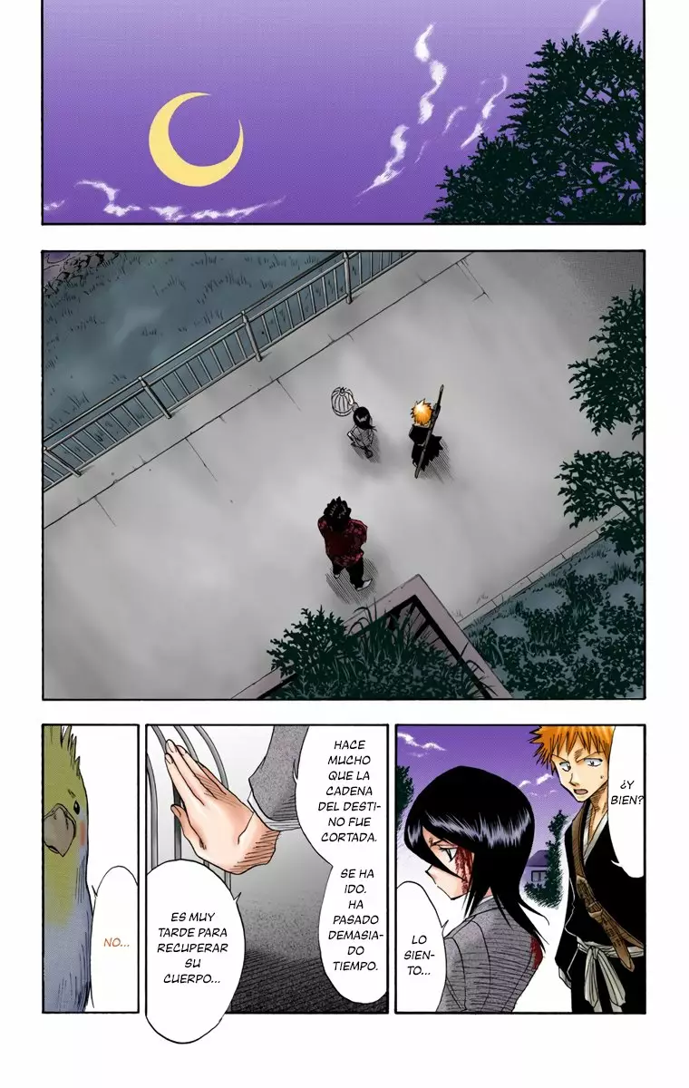 Bleach – Digital Colored Comics Capítulo 12 - Page 13