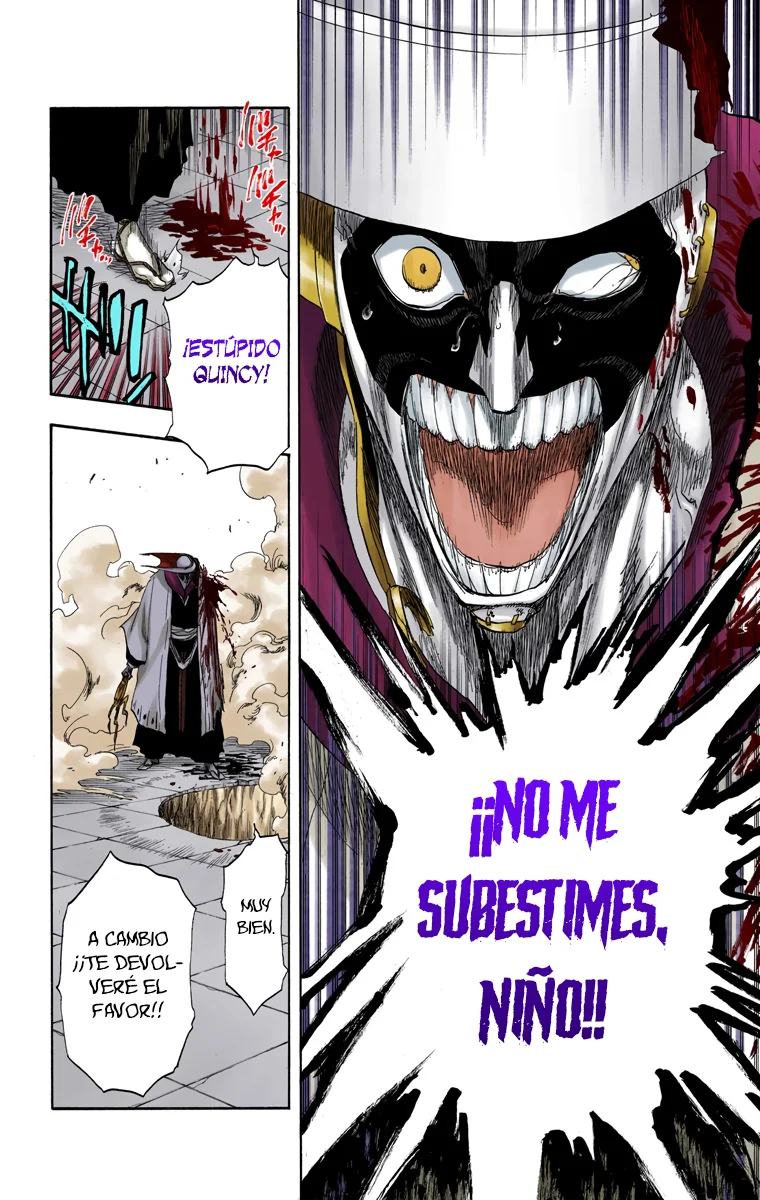 Bleach – Digital Colored Comics Capítulo 125 - Page 13