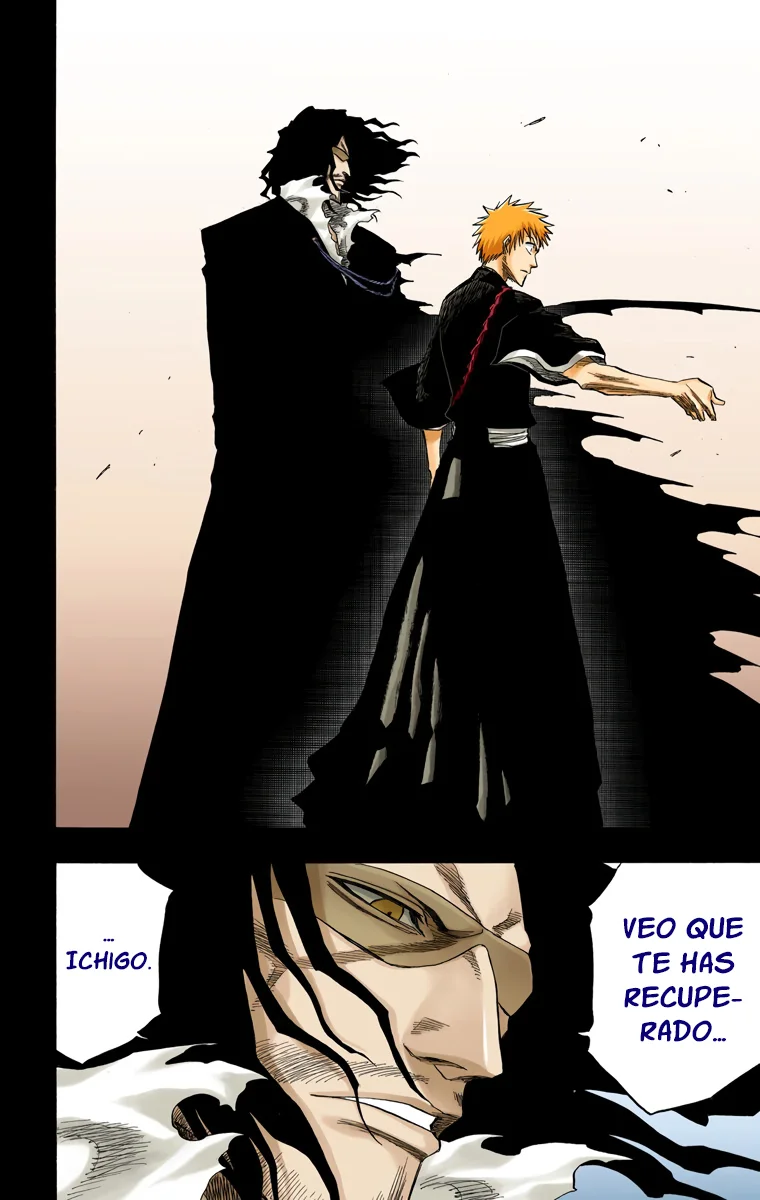 Bleach – Digital Colored Comics Capítulo 127 - Page 9