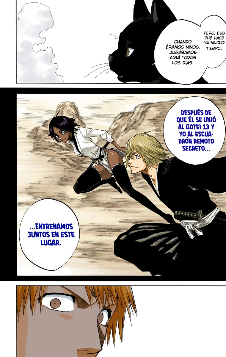 Bleach – Digital Colored Comics Capítulo 130 - Page 11