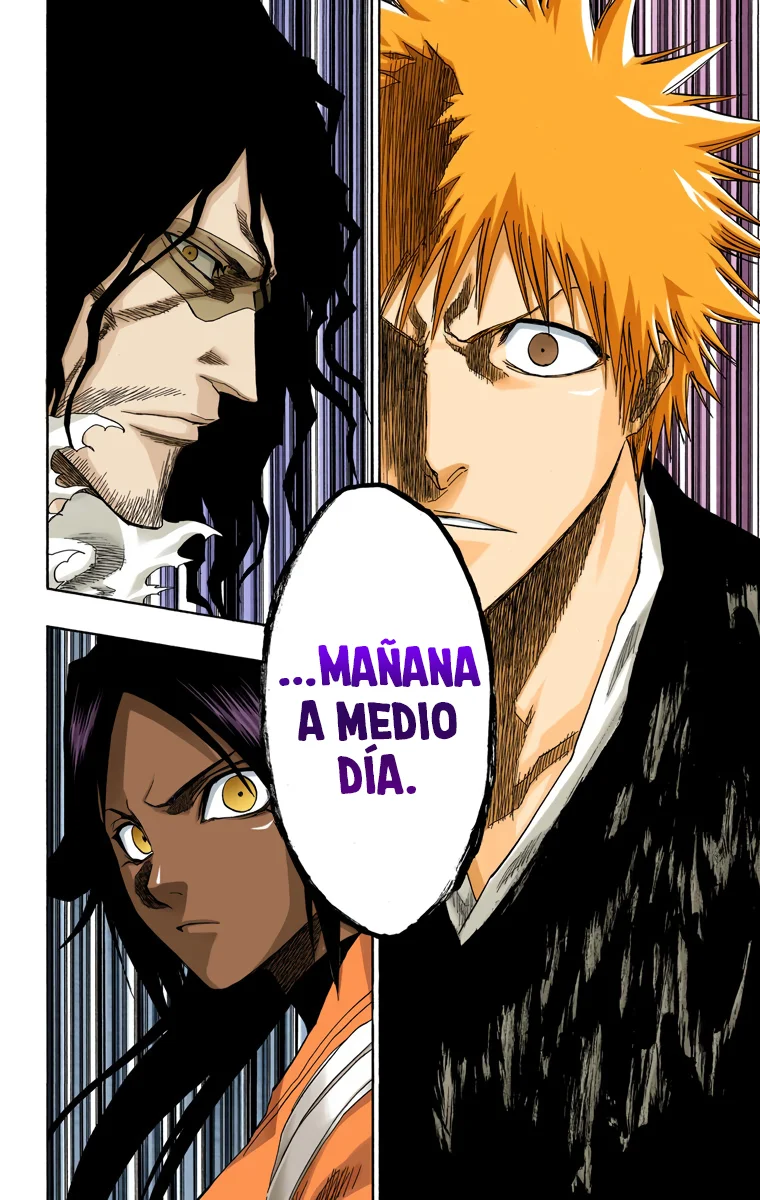 Bleach – Digital Colored Comics Capítulo 133 - Page 15
