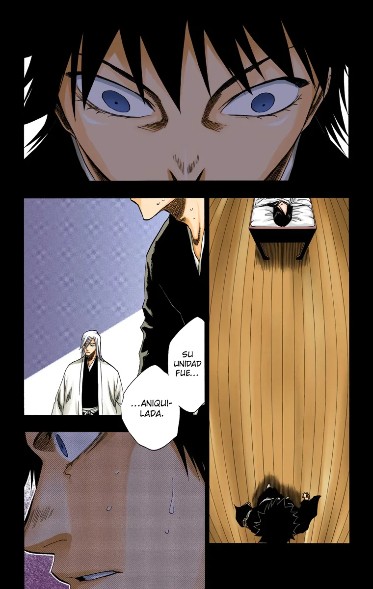 Bleach – Digital Colored Comics Capítulo 134 - Page 17