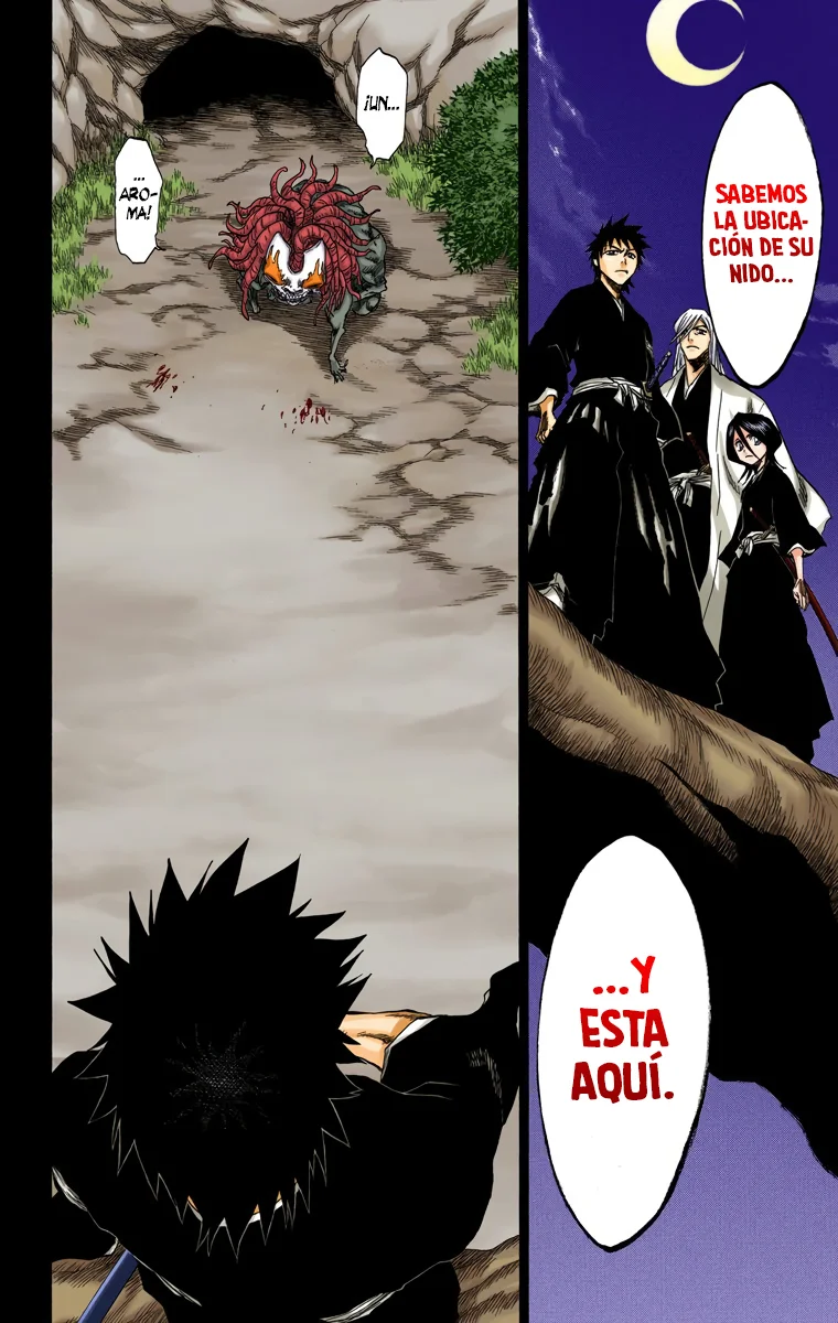 Bleach – Digital Colored Comics Capítulo 134 - Page 19