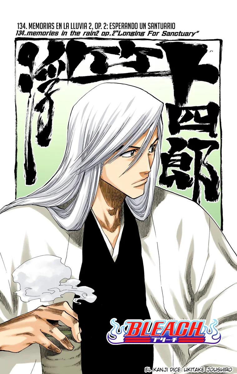 Bleach – Digital Colored Comics Capítulo 134 - Page 7