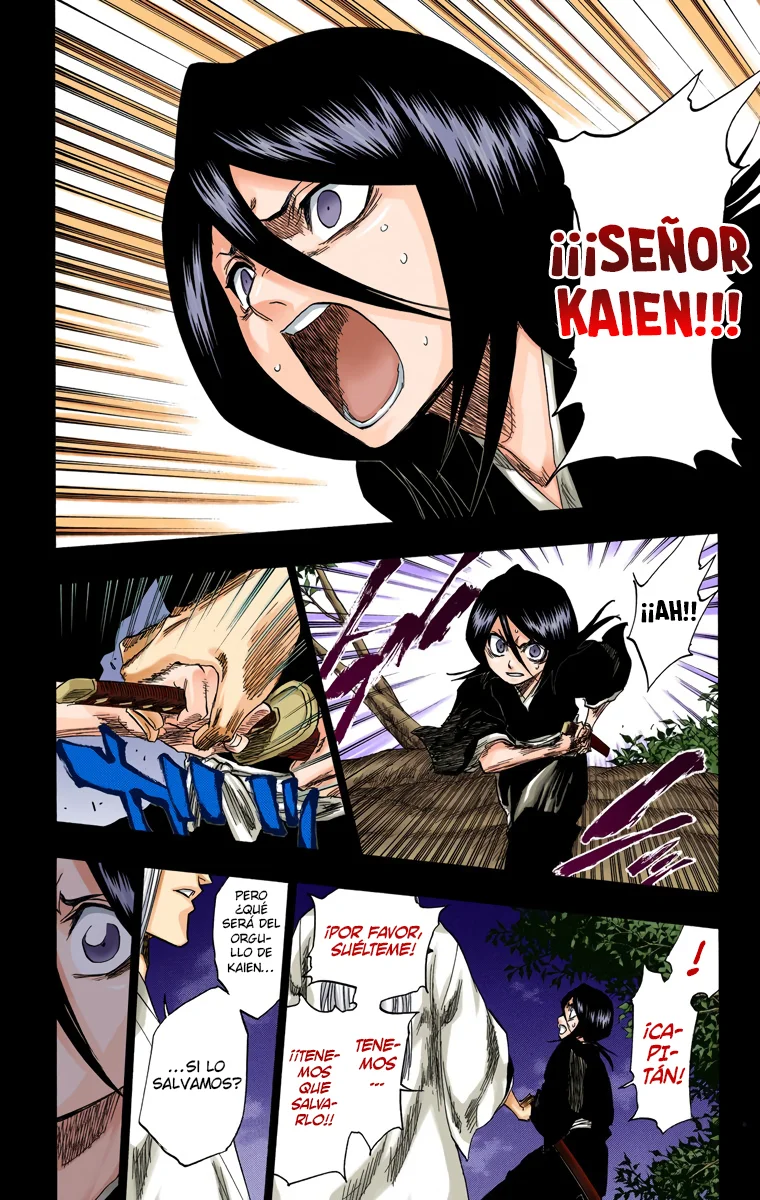 Bleach – Digital Colored Comics Capítulo 135 - Page 13
