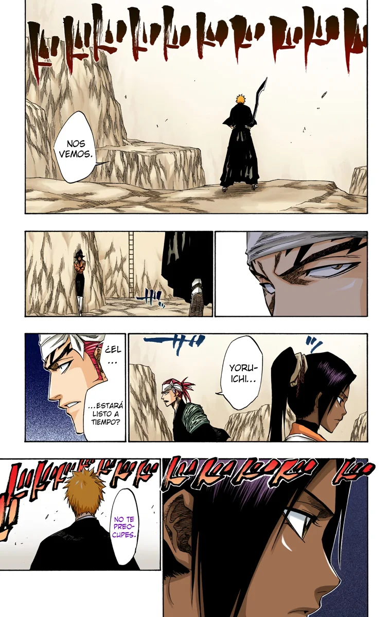 Bleach – Digital Colored Comics Capítulo 137 - Page 15