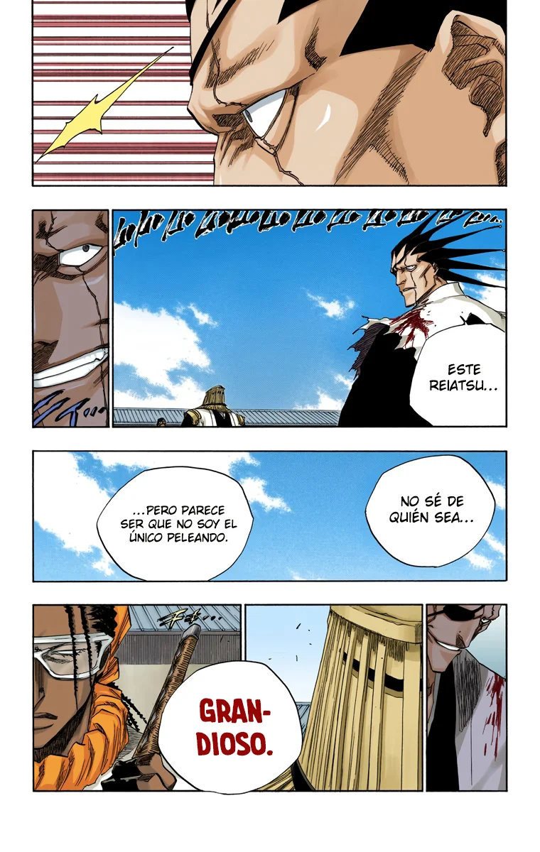 Bleach – Digital Colored Comics Capítulo 143 - Page 5