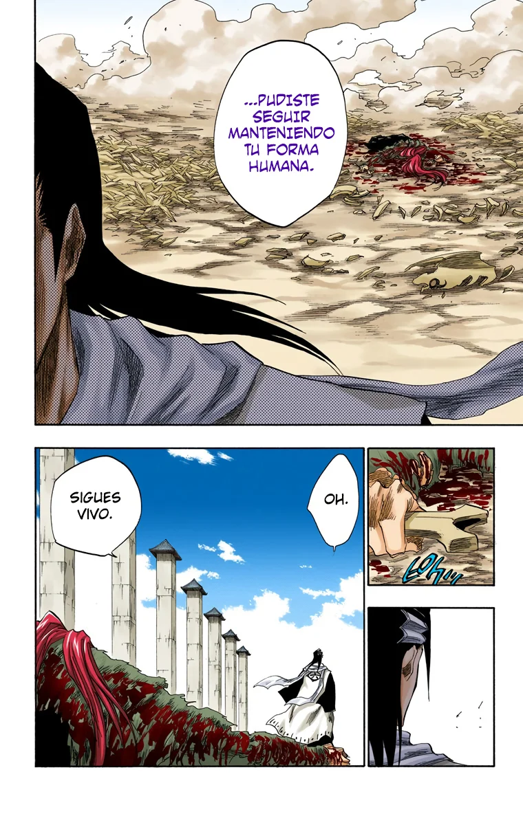 Bleach – Digital Colored Comics Capítulo 143 - Page 8