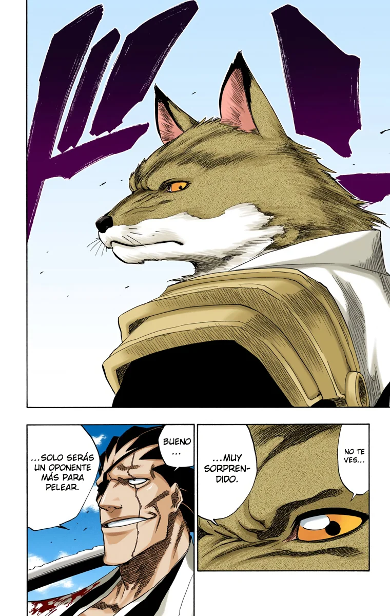 Bleach – Digital Colored Comics Capítulo 148 - Page 17