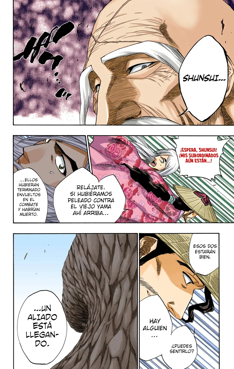 Bleach – Digital Colored Comics Capítulo 153 - Page 15