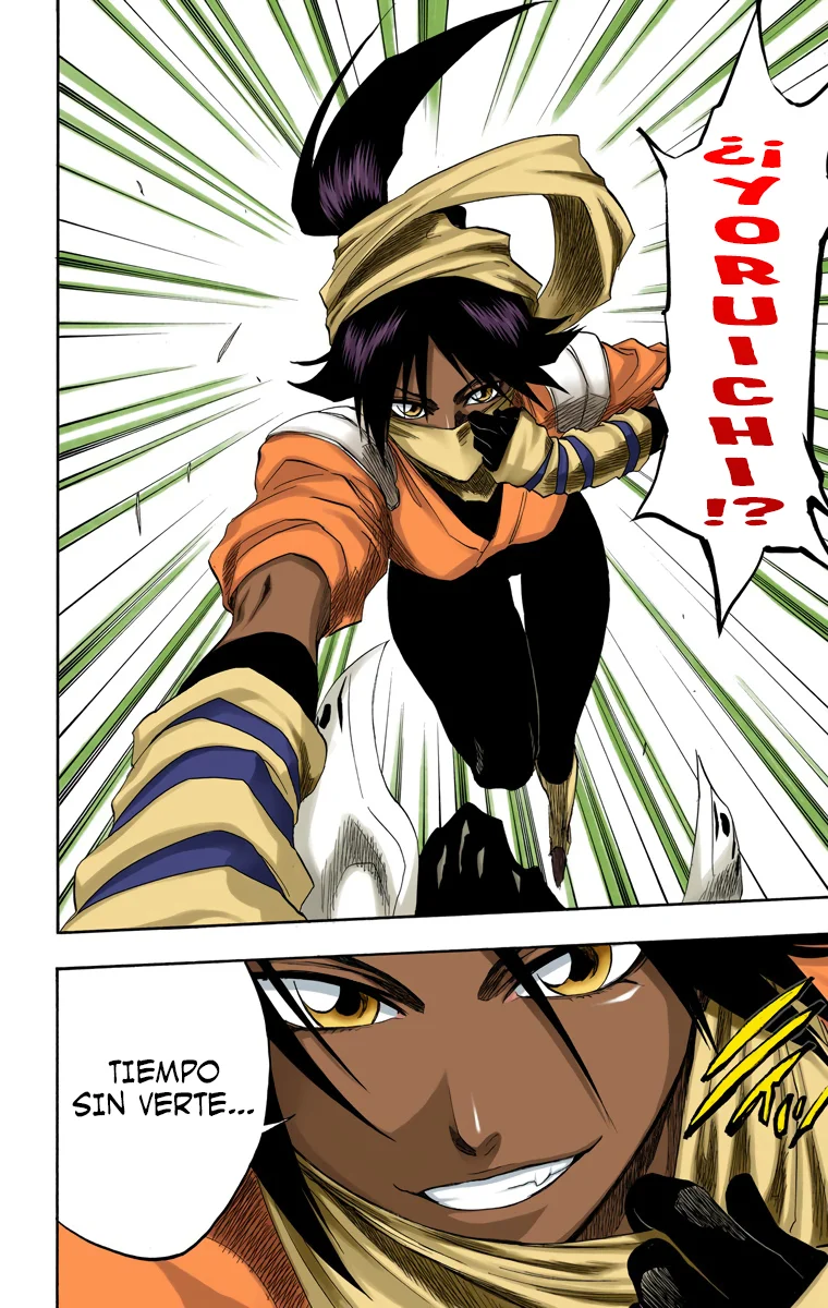 Bleach – Digital Colored Comics Capítulo 153 - Page 19