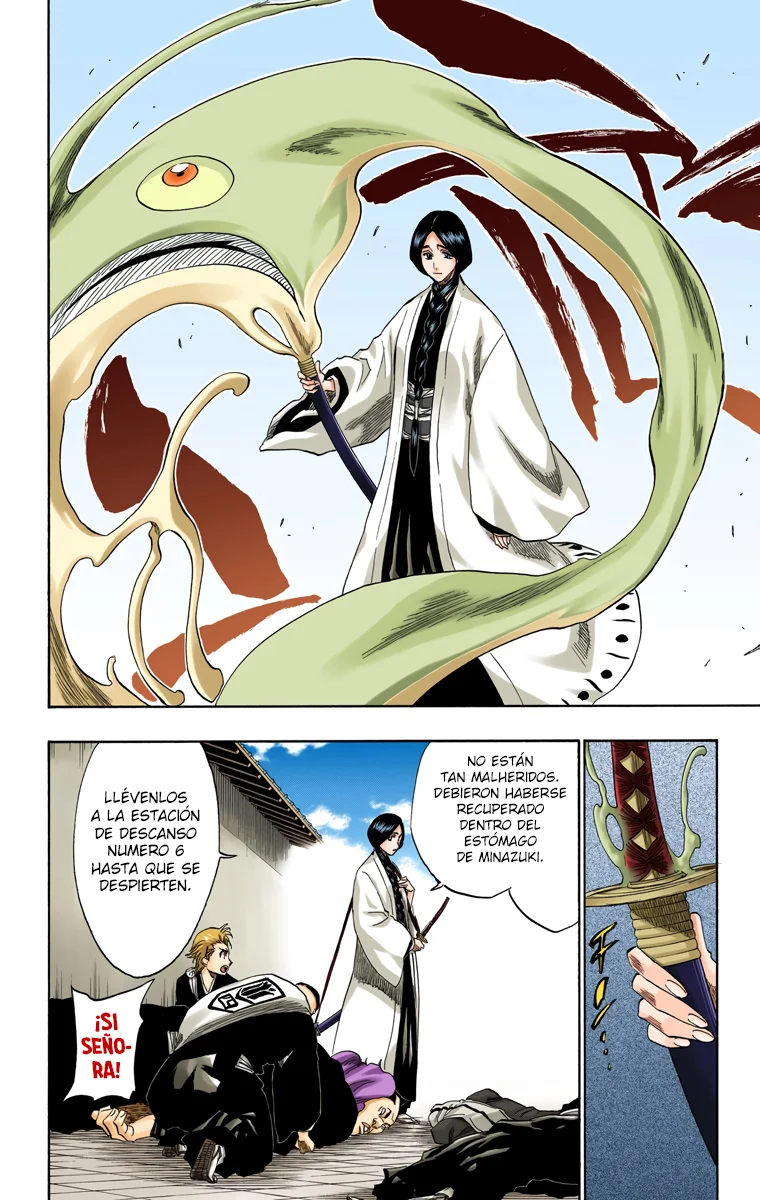 Bleach – Digital Colored Comics Capítulo 154 - Page 5