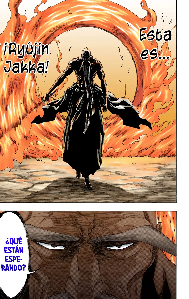 Bleach – Digital Colored Comics Capítulo 156 - Page 9