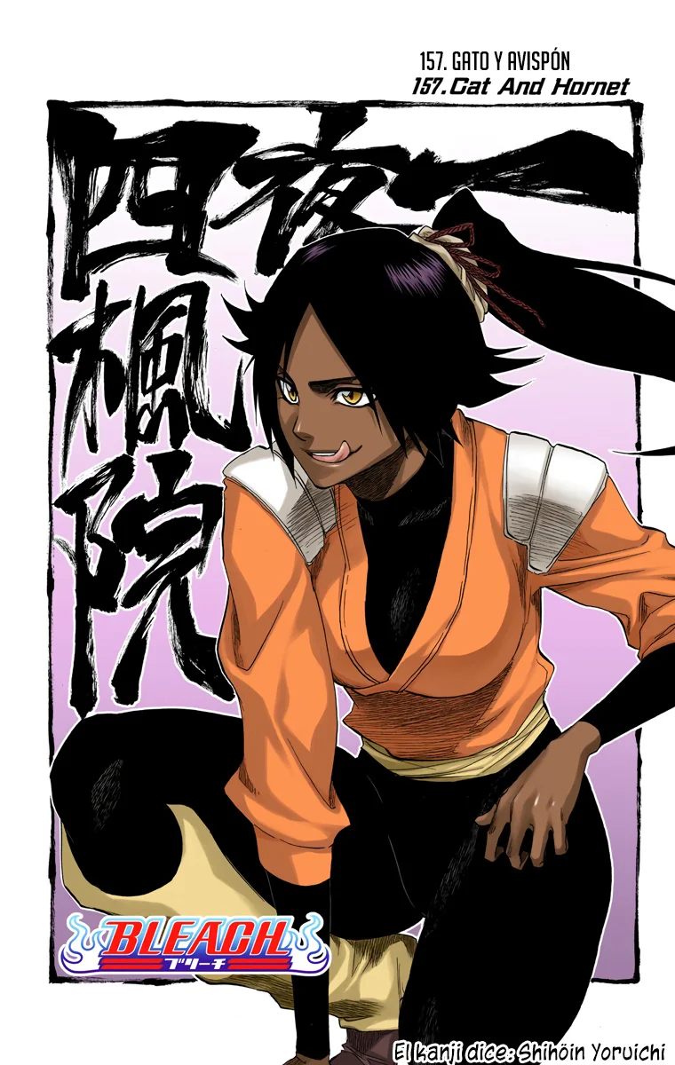 Bleach – Digital Colored Comics Capítulo 157 - Page 7