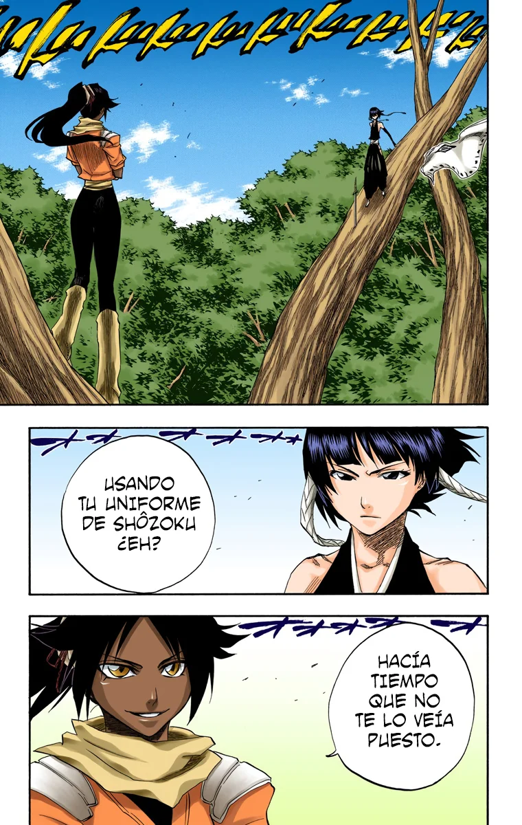 Bleach – Digital Colored Comics Capítulo 157 - Page 8