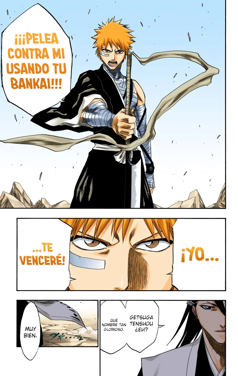 Bleach – Digital Colored Comics Capítulo 161 - Page 10
